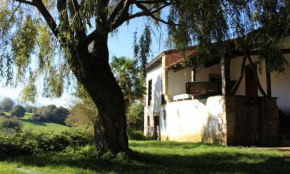 Willow Tree House - Hidden in the perfect place